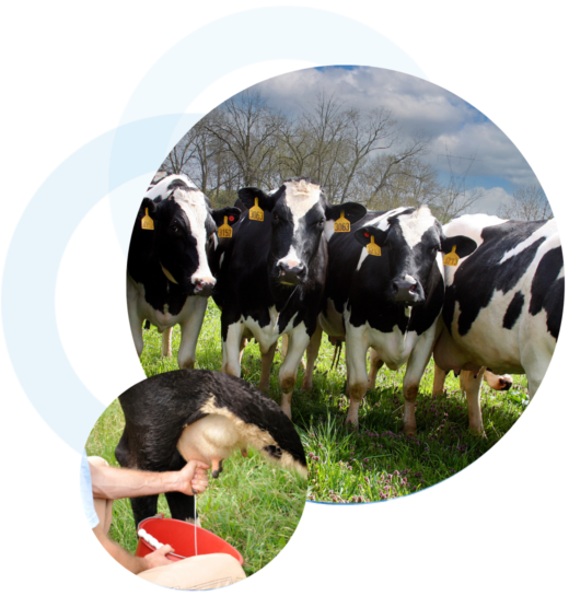 Untitled design (12)